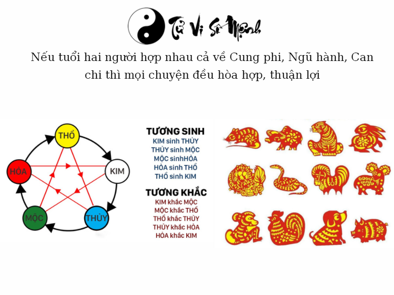 xem tuổi hợp nhau