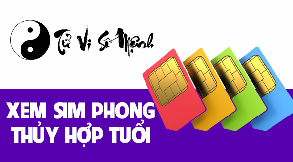 Xem SIM PHONG THỦY hợp tuổi