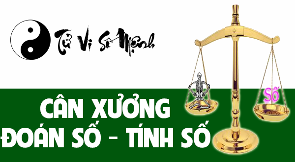 Cân xương đoán số mệnh chính xác nhất - Tử Vi Số Mệnh