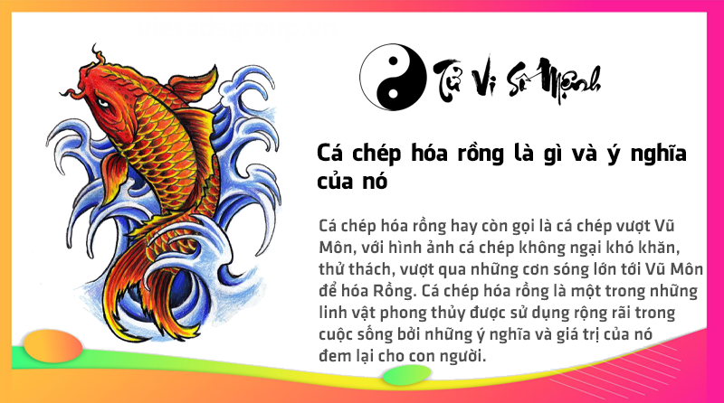 Cá chép hóa rồng là gì và ý nghĩa của nó