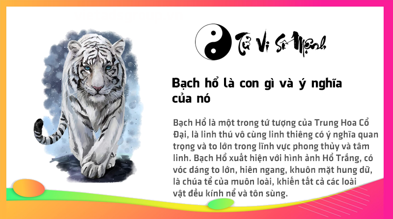 Bạch hổ là con gì và ý nghĩa của nó