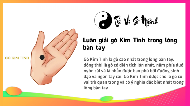 Luận giải gò Kim Tinh trong lòng bàn tay