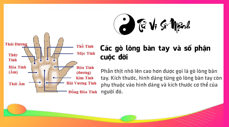 Các gò lòng bàn tay và số phận cuộc đời
