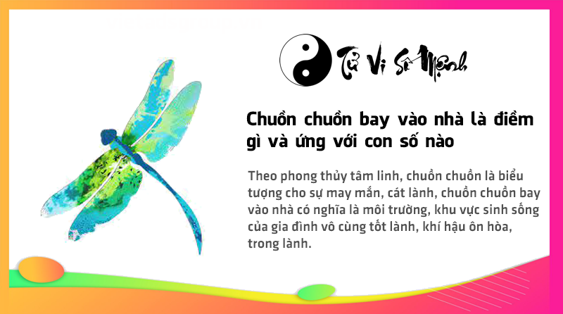 Chuồn chuồn bay vào nhà là điềm gì và ứng với con số nào