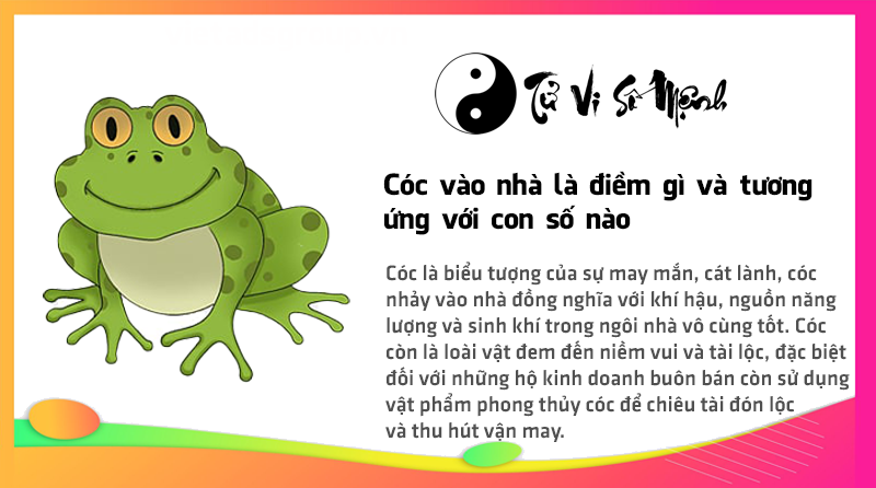 Cóc vào nhà là điềm gì và tương ứng với con số nào