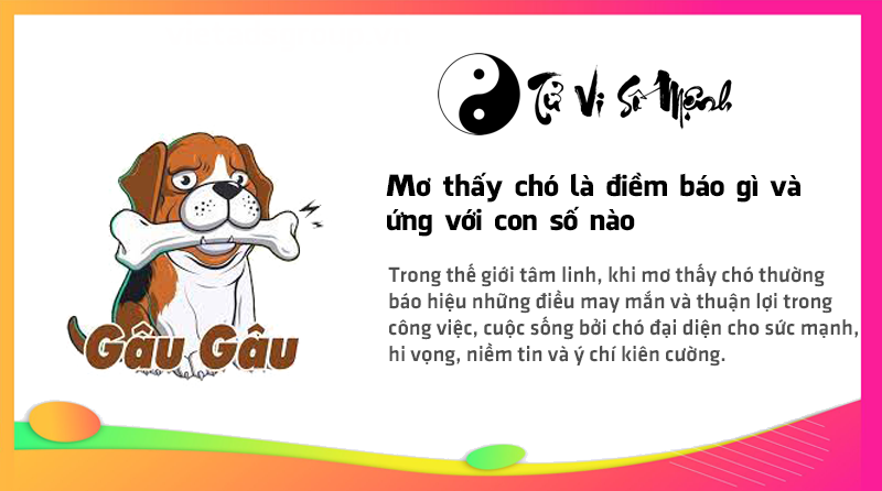 Mơ thấy chó là điềm báo gì và ứng với con số nào