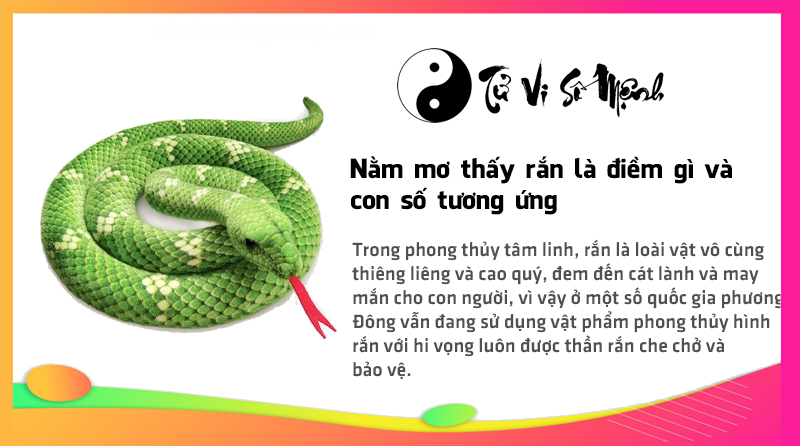Nằm mơ thấy rắn là điềm gì và con số tương ứng