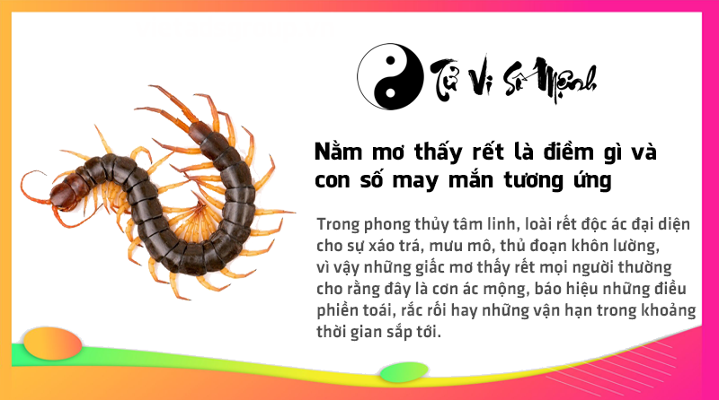 Nằm mơ thấy rết là điềm gì và con số may mắn tương ứng