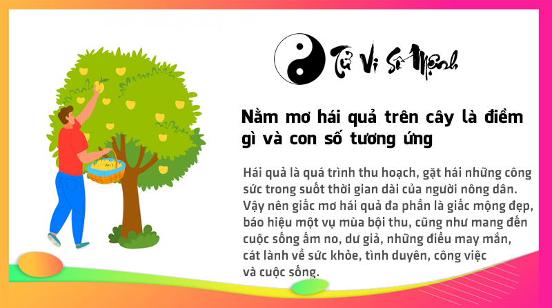 Nằm mơ hái quả trên cây là điềm gì và con số tương ứng