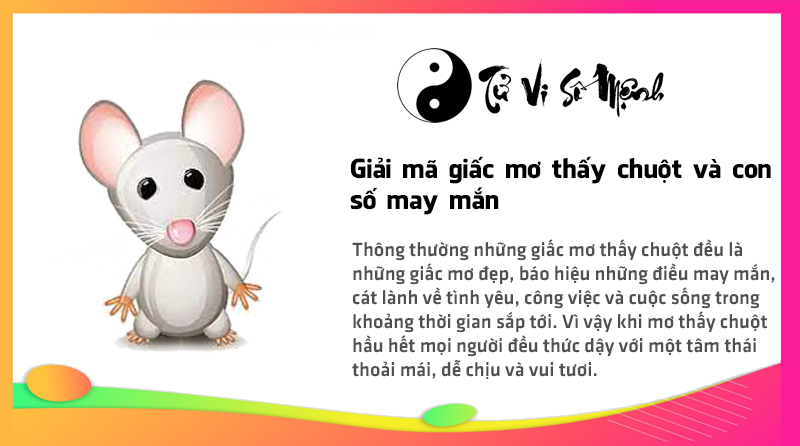 Giải mã giấc mơ thấy chuột và con số may mắn