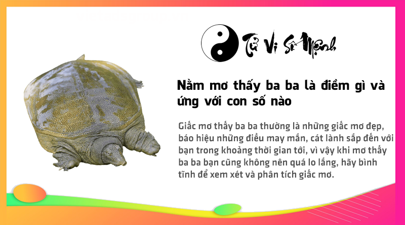 Nằm mơ thấy ba ba là điềm gì và ứng với con số nào