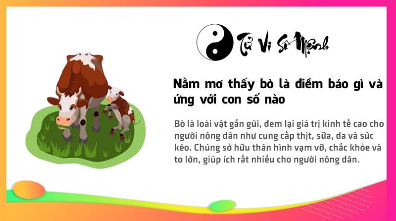 Nằm mơ thấy bò là điềm báo gì và ứng với con số nào