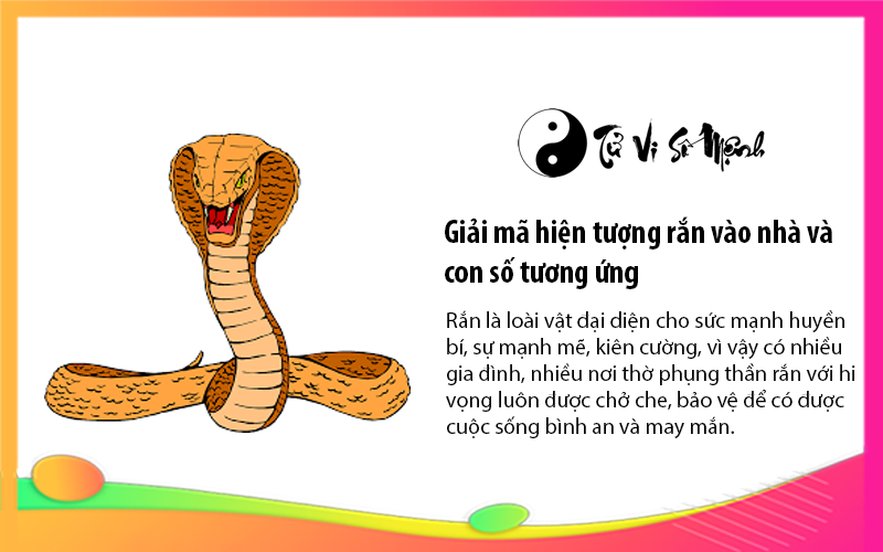 Giải mã hiện tượng rắn vào nhà và con số tương ứng