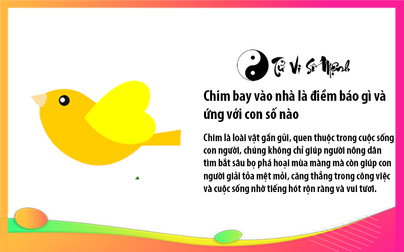 Chim bay vào nhà là điềm báo gì và ứng với con số nào