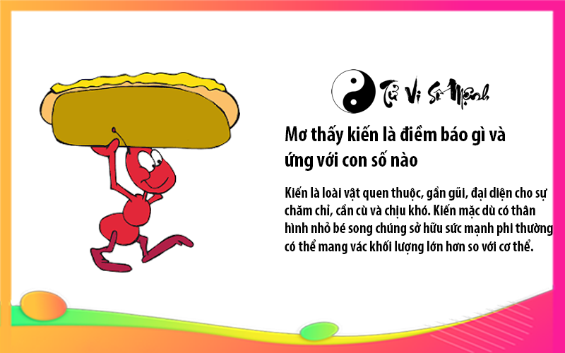 Mơ thấy kiến là điềm báo gì và ứng với con số nào