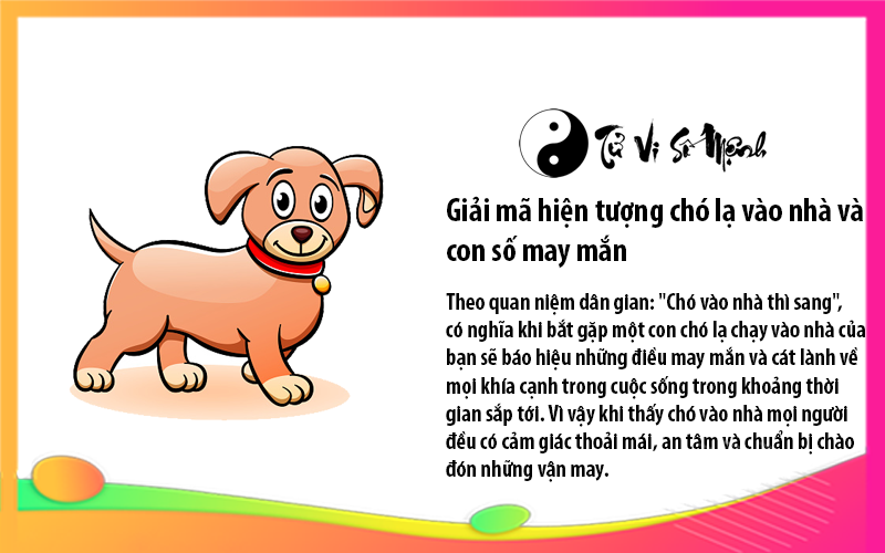 Giải mã hiện tượng chó lạ vào nhà và con số may mắn