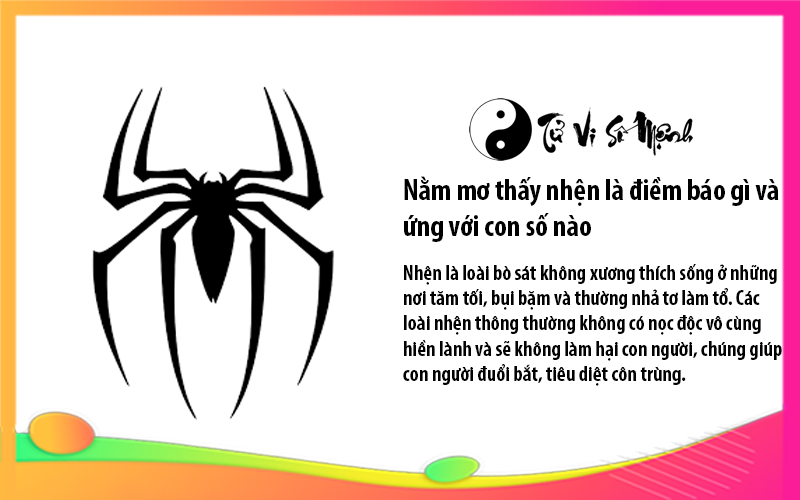 Nằm mơ thấy nhện là điềm báo gì và ứng với con số nào