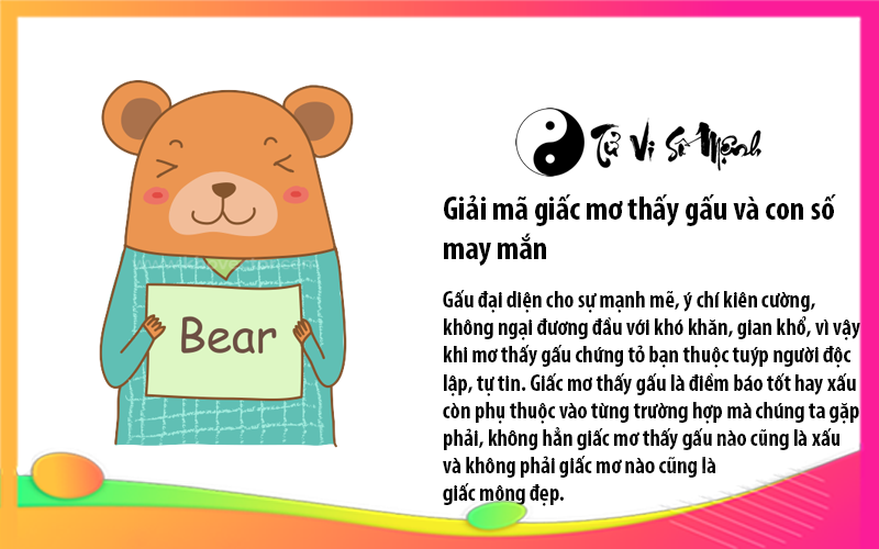 Giải mã giấc mơ thấy gấu và con số may mắn