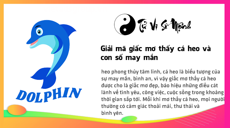 Giải mã giấc mơ thấy cá heo và con số may mắn