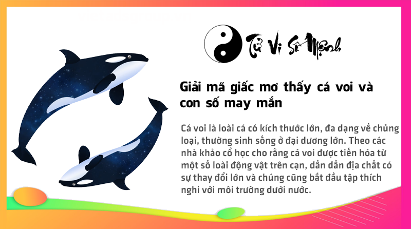 Giải mã giấc mơ thấy cá voi và con số may mắn