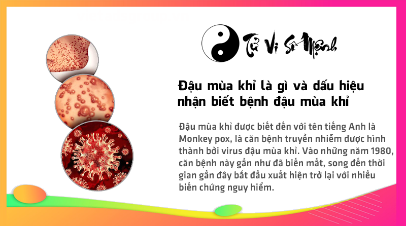 Đậu mùa khỉ là gì và dấu hiệu nhận biết bệnh đậu mùa khỉ