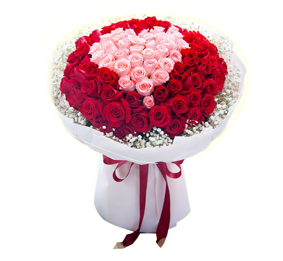 Hoa hồng Ngày Lễ Tình Nhân Valention