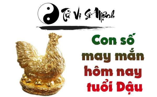 Con số may mắn tuổi Dậu hôm nay