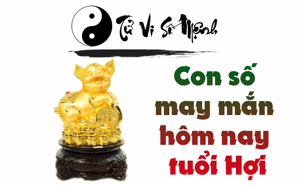 Con số may mắn tuổi Hợi hôm nay