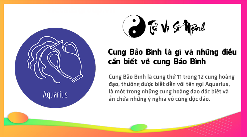 Cung Bảo Bình là gì và những điều cần biết về cung Bảo Bình