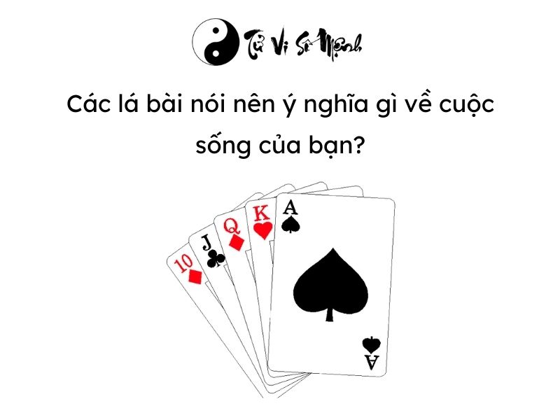 Xem bói bài hàng ngày