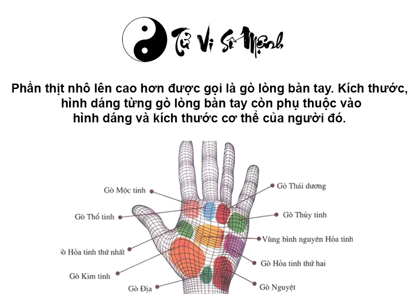 Các gò lòng bàn tay và số phận cuộc đời