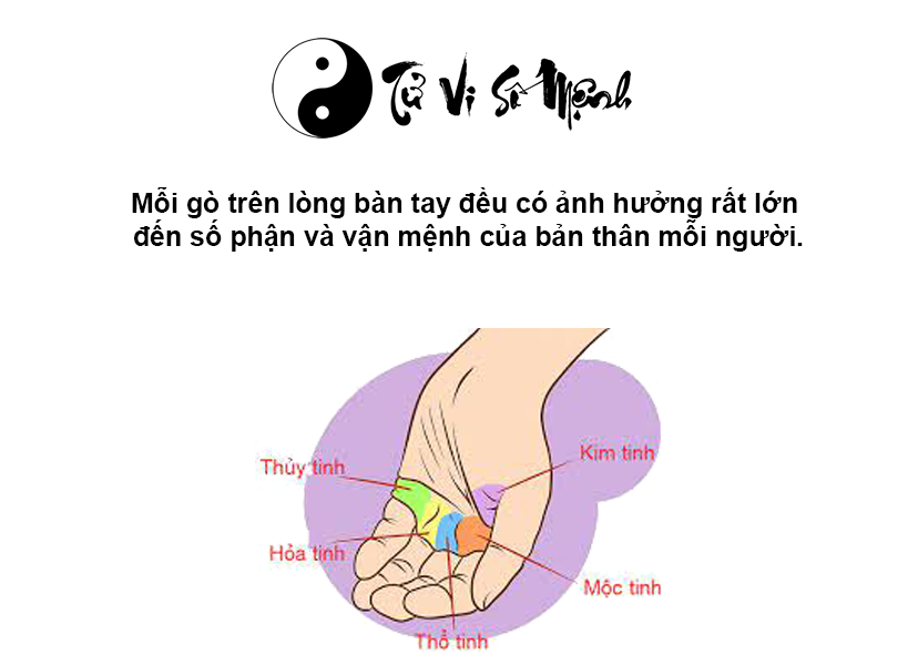 Các gò lòng bàn tay và số phận cuộc đời