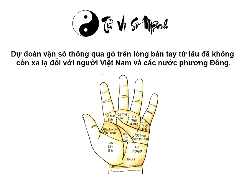 Các gò lòng bàn tay và số phận cuộc đời