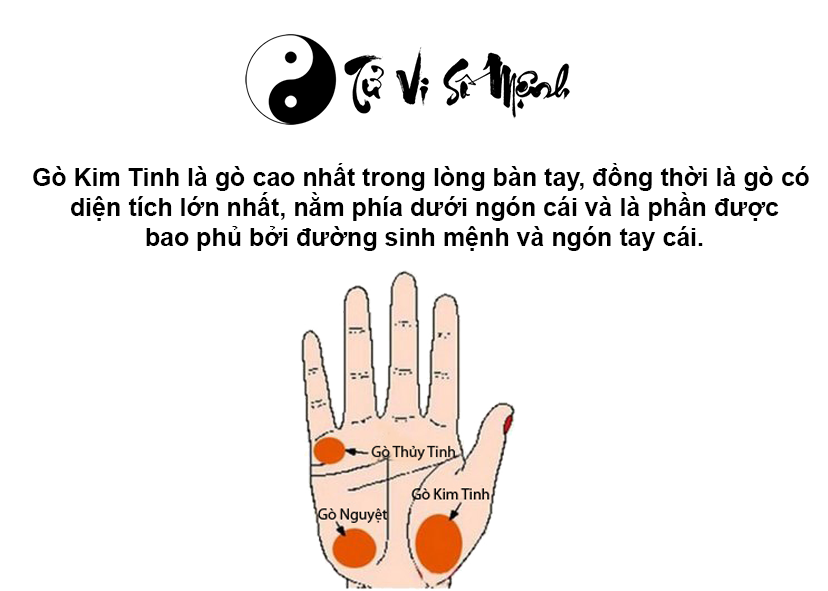 Luận giải gò Kim Tinh trong lòng bàn tay