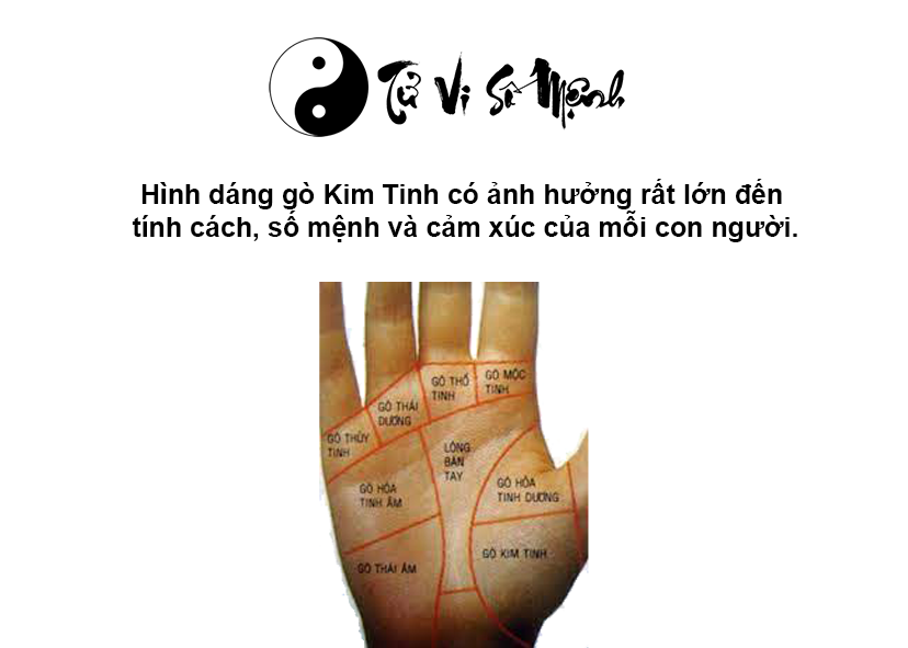 Luận giải gò Kim Tinh trong lòng bàn tay