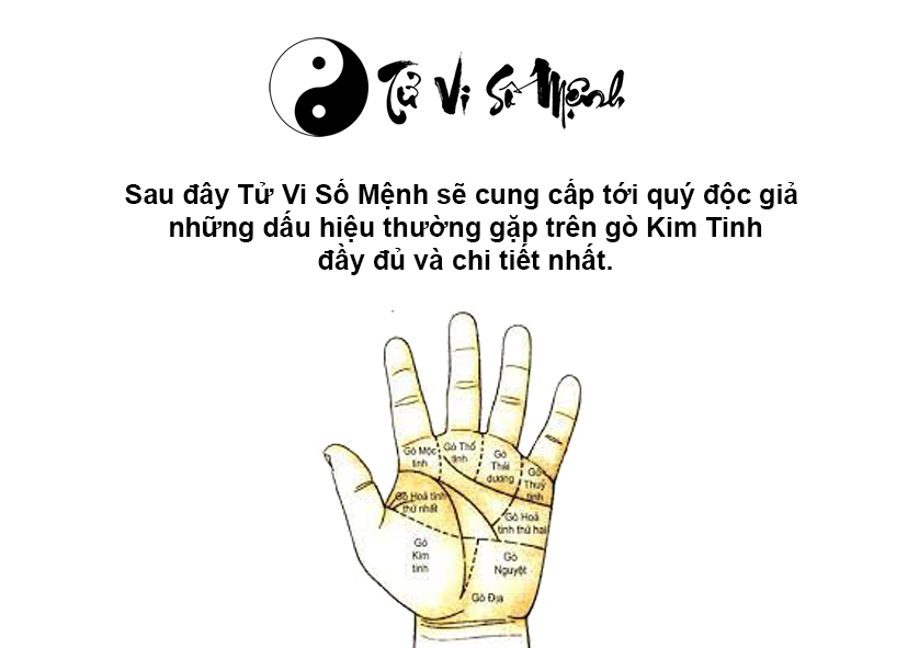 Luận giải gò Kim Tinh trong lòng bàn tay