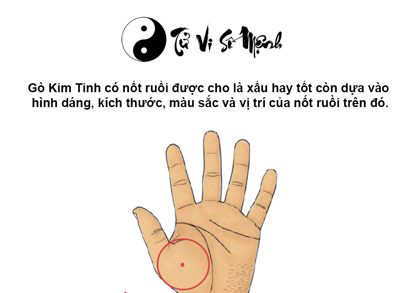 Luận giải gò Kim Tinh trong lòng bàn tay