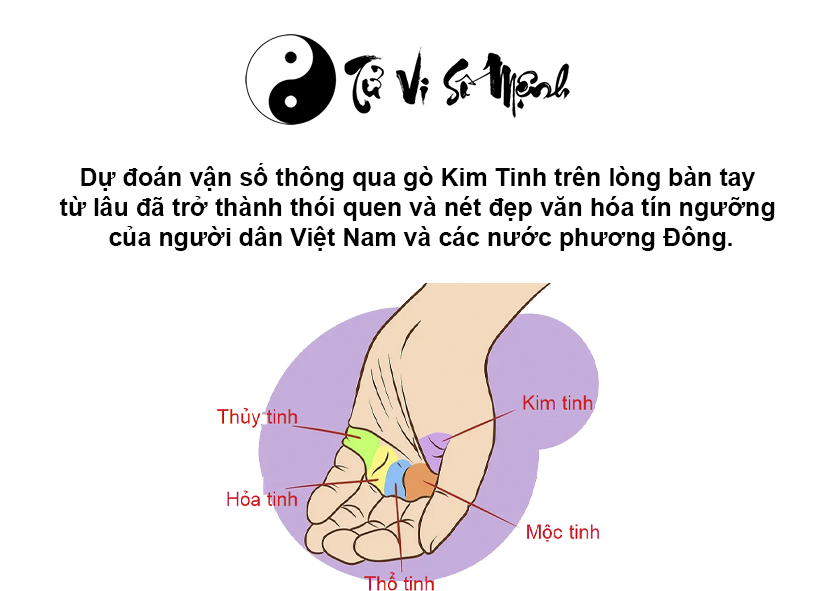 Luận giải gò Kim Tinh trong lòng bàn tay