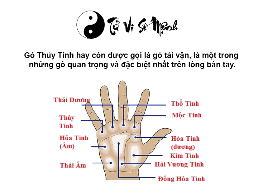 Tướng bàn tay giàu có qua gò Thuỷ tinh