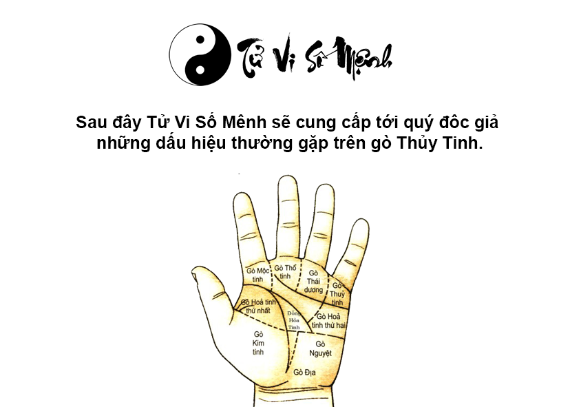Tướng bàn tay giàu có qua gò Thuỷ tinh