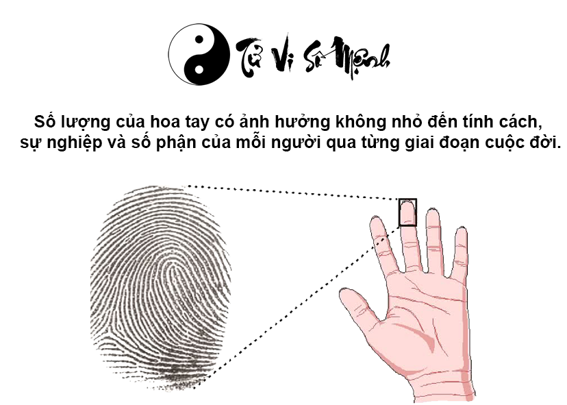 Hoa tay là gì và ý nghĩa của nó