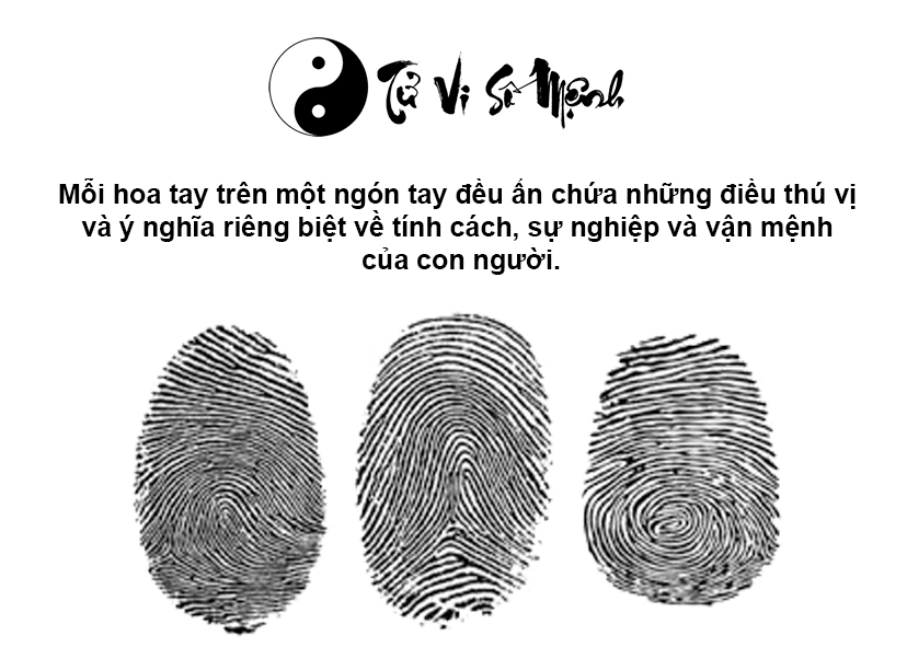 Hoa tay là gì và ý nghĩa của nó