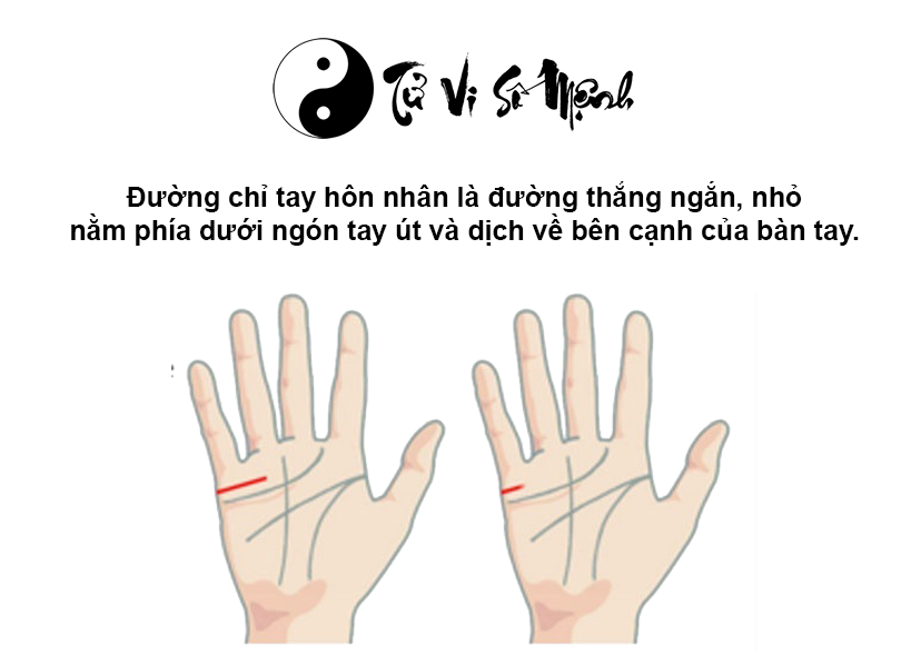 Xem đường chỉ tay h&ocirc;n nh&acirc;n tiết lộ hạnh ph&uacute;c