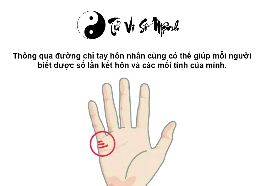 Xem đường chỉ tay h&ocirc;n nh&acirc;n tiết lộ hạnh ph&uacute;c