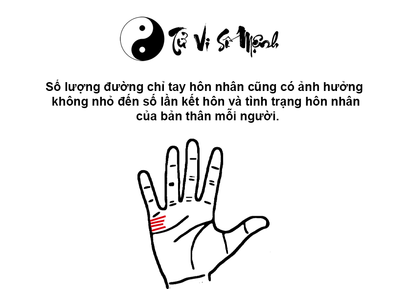 Xem đường chỉ tay h&ocirc;n nh&acirc;n tiết lộ hạnh ph&uacute;c