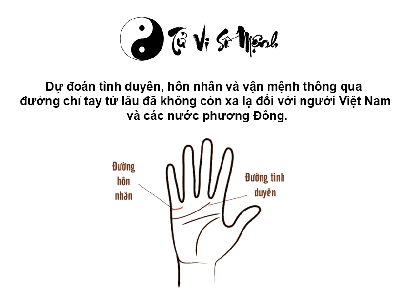 Xem đường chỉ tay h&ocirc;n nh&acirc;n tiết lộ hạnh ph&uacute;c