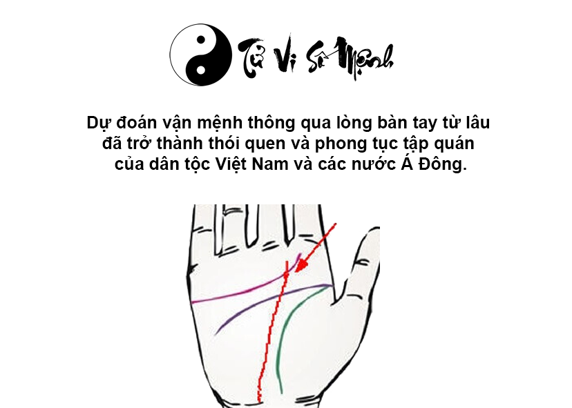 Lòng bàn tay đại phú đại quý