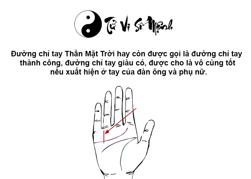 Đường chỉ tay Thần Mặt Trời trong l&ograve;ng b&agrave;n tay