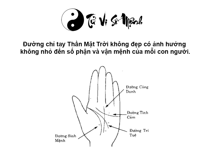 Đường chỉ tay Thần Mặt Trời trong l&ograve;ng b&agrave;n tay