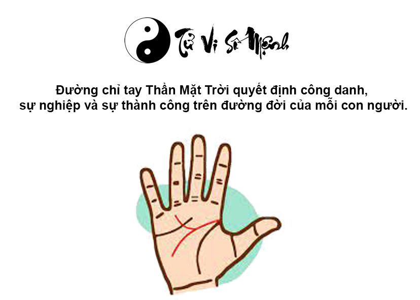 Đường chỉ tay Thần Mặt Trời trong l&ograve;ng b&agrave;n tay